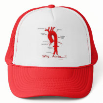 Why..Aorta....!!    Cap Mesh Hats
