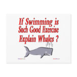 Why Are Whales Fat Postcard