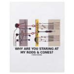 Why Are You Staring At My Rods & Cones? flyers