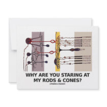 Why Are You Staring At My Rods & Cones?