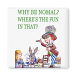 Why Be Normal? Where's the Fun in That? Magnets
