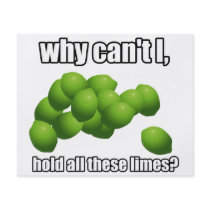 Why Can't I Hold All These Limes? Full Colour Flyer