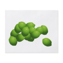 Why Can't I Hold All These Limes? Full Colour Flyer
