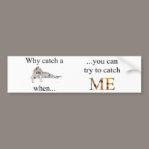 Why catch a tiger when ....You can try to... bumper stickers
