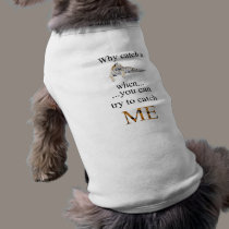 Why catch a tiger when...You can try to cath ME pet clothing