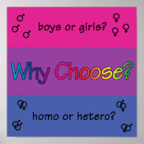 Why Choose? Poster