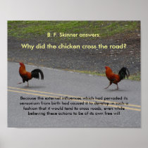 Why Did The Chicken Cross? - (small) poster