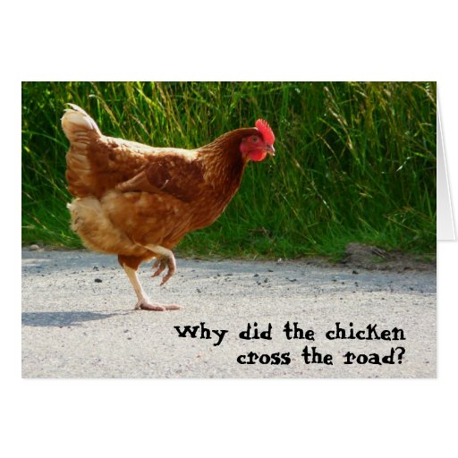 why-did-the-chicken-cross-the-road-zazzle