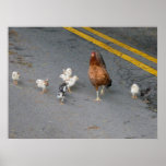 Why did the chicken cross the road? posters