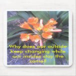 Why does our outside keep changing mousepad
