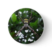 Why Don't People Like Me?? Pinback Buttons