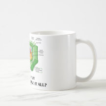 Why Eat Meat If Plant Cells Have It All? (Veg Fun) Mug