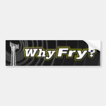 Why Fry? Bumper Sticker