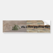 why is there growthing tree? bumper sticker