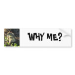 WHY ME? bumper stickers