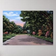 Wichita Kansas Riverside and Oak Park Drive Print