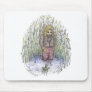 Wicker and the Texas Turtle - Mouse Pad