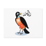 Wide eyed Red Breasted Robin Singing Post Card