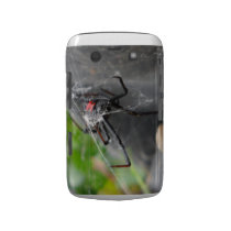 Widow's Pose Blackberry Bold Case