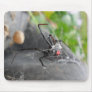 Widow's Pose Mousepads