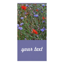 wiese mit mohn + kornblumen -karte foto grußkarte