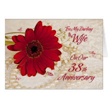 Wife on 38th wedding anniversary, a daisy flower greeting card