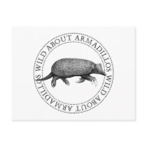 Wild about Armadillos