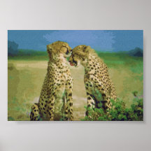 Wild Affection Posters