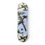 Wild Amazon Parrots Skateboards