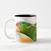 Wild Amazon Red Parrot Mug
