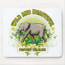 Wild and Beautiful Elephant