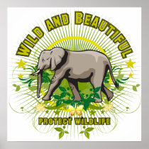 Wild and Beautiful Elephant