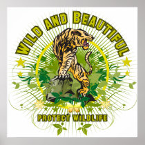 Wild and beautiful Tiger