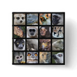 Wild Animal Faces -- Mammals, Reptiles, Birds buttons