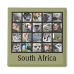 Wild Animal Faces -- Mammals, Reptiles, Birds magnets