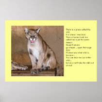 Wild Animal Posters