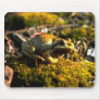 Wild Animals 11 Mouse Pad