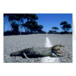 Wild Animals 18 cards