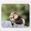 Wild Animals 1 mousepads