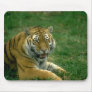Wild Animals 37 Mouse Mats