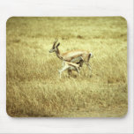 Wild Animals 52 Mouse Pad