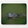 Wild Animals 61 Mouse Mats