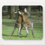 Wild Animals 78 Mouse Mats