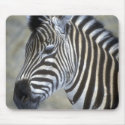 Wild Animals 95 mousepads