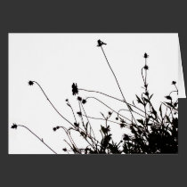 Wild Array cards