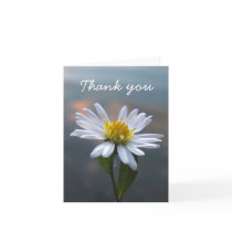 Wild Aster Thank You Card