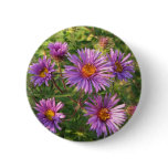 Wild Asters 4 Autumn Pinback Buttons