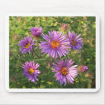 Wild Asters 4 Autumn mousepads