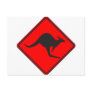 Wild Australian Kangaroo Marsupial Roo Silhouette