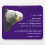 Wild Bald Eagle Collection Mouse Pads